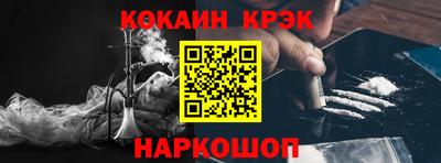 СК Бердск