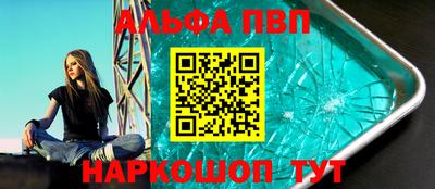 СК Бердск
