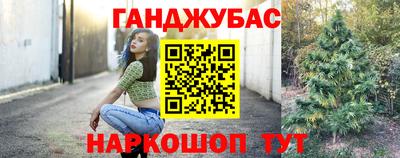 СК Бердск