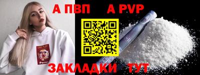 СК Бердск