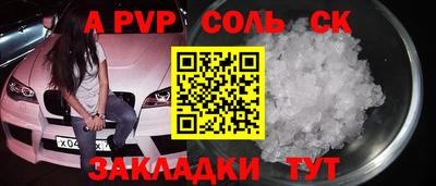СК Бердск