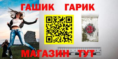 СК Бердск