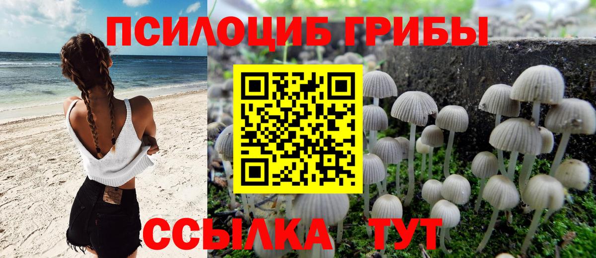 Псилоцибиновые грибы Magic Shrooms Борисоглебск