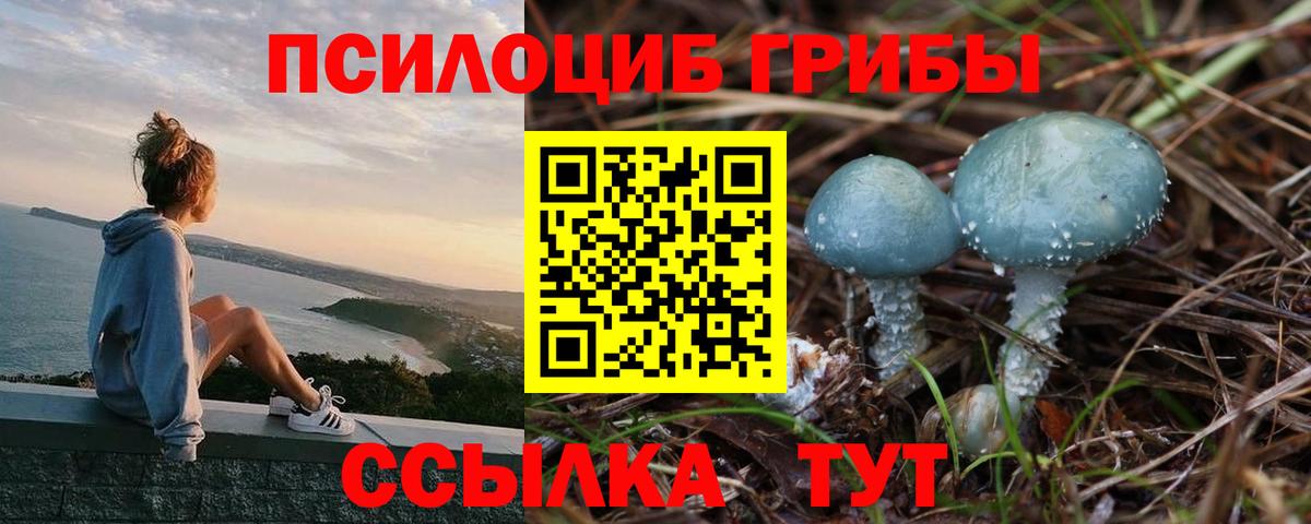Псилоцибиновые грибы Cubensis  Вход с VPN  Галлюциногенные грибы мухоморы  Борисоглебск 